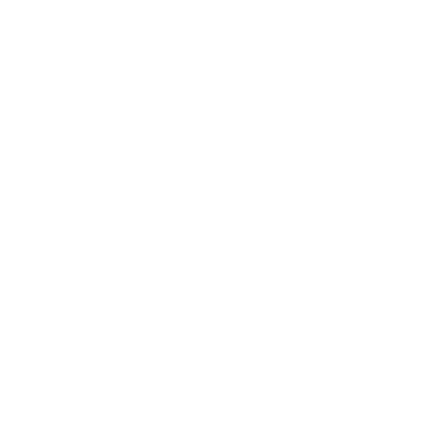 Product image with a clear background